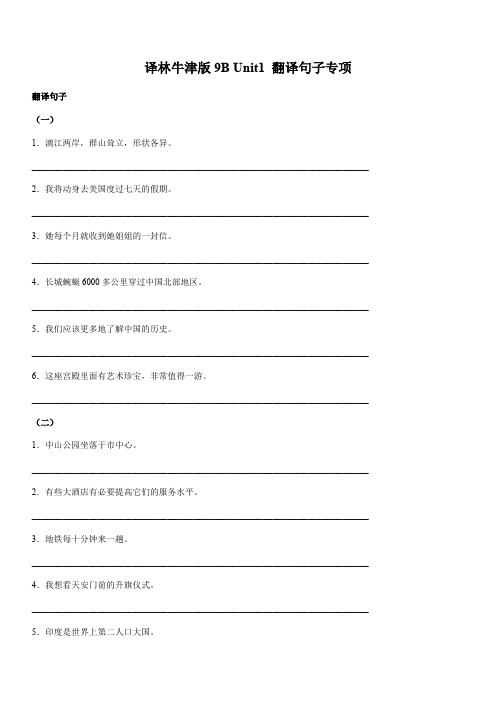 译林牛津版英语9B Unit1 翻译句子专项(含答案)