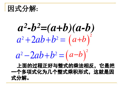 复习因式分解  华师大版(PPT)5-1