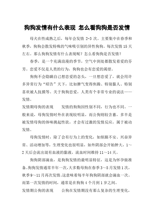 狗狗发情有什么表现 怎么看狗狗是否发情