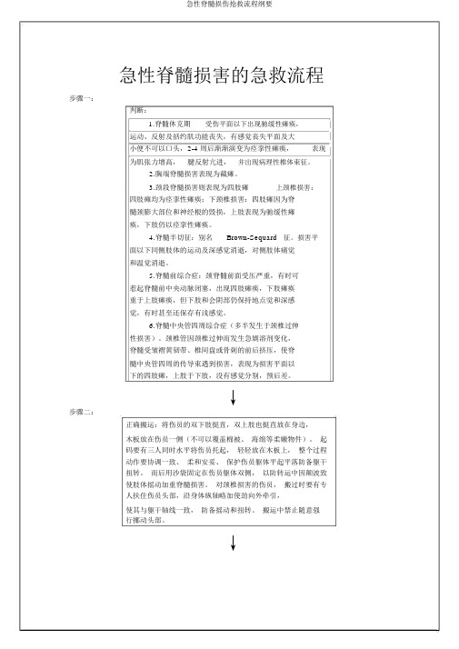 急性脊髓损伤抢救流程纲要