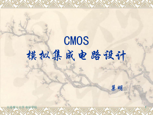 CMOS模拟集成电路设计05