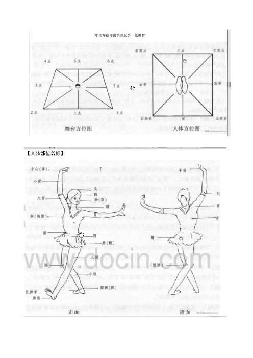 舞蹈常用术语大全