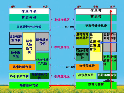 自然带图片