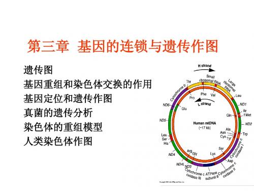 遗传课件  3基因连锁与遗传作图