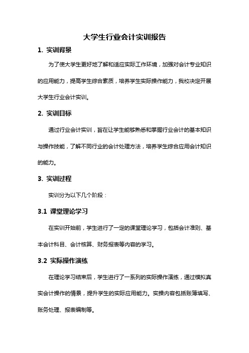 大学生行业会计实训报告