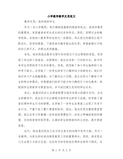 小学教师教学反思范文