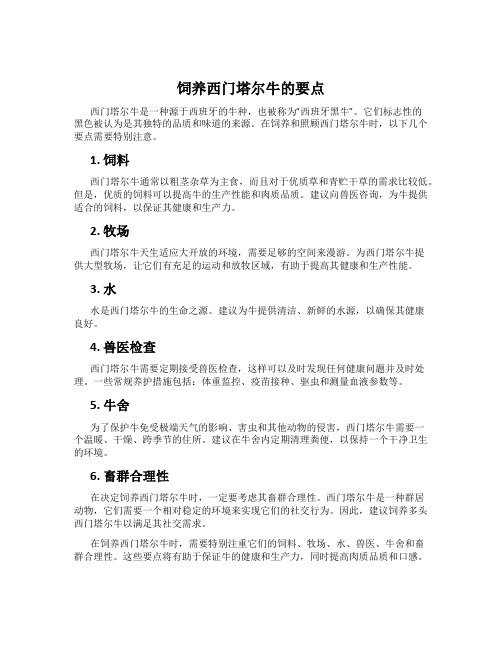 饲养西门塔尔牛的要点