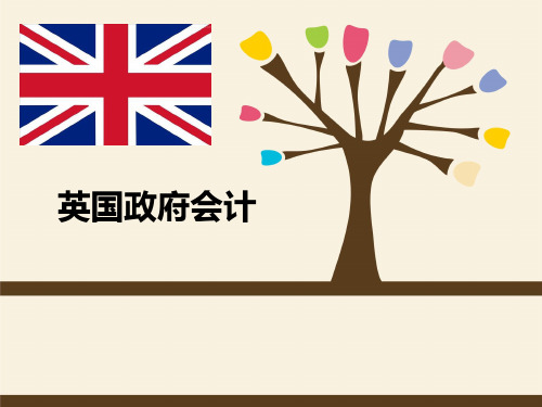 英国政府会计(最新)