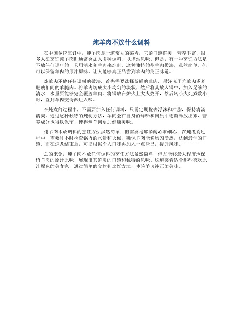 炖羊肉不放什么调料