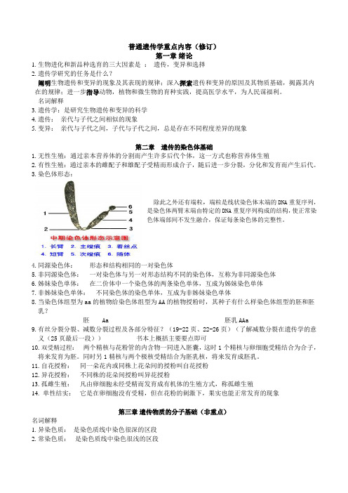 普通遗传学重点内容