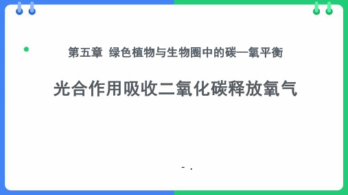 《光合作用吸收二氧化碳释放氧气》PPT优质课件