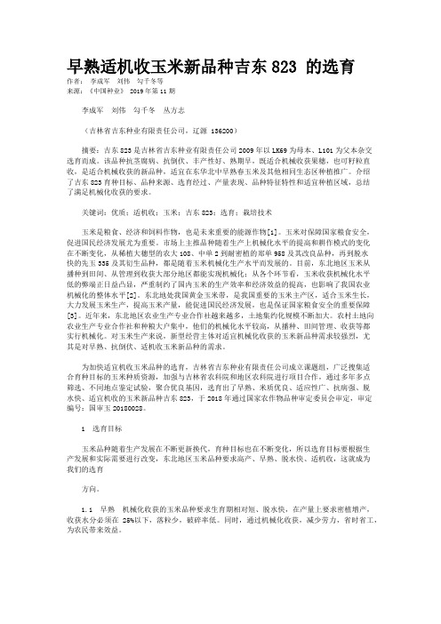 早熟适机收玉米新品种吉东823 的选育