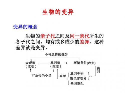 高三复习---生物的变异