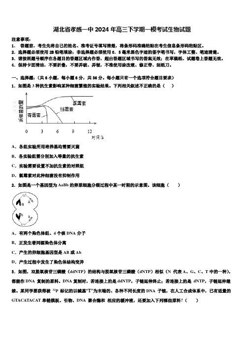 湖北省孝感一中2024年高三下学期一模考试生物试题含解析