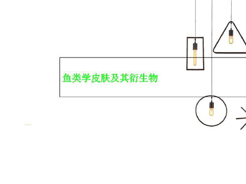 鱼类学皮肤及其衍生物