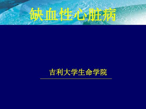 缺血性心脏病PPT课件