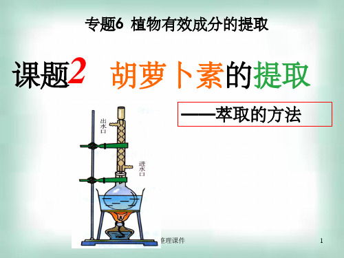 生物选修1胡萝卜素的提取人教版