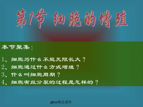 《细胞的增殖》课件1(20张PPT)(中图版必修1)