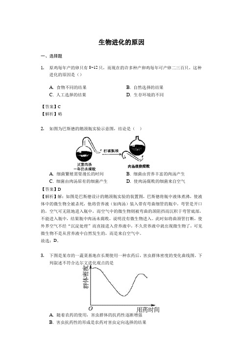 鲁科版-生物-八年级下册-《生物进化的原因》练习