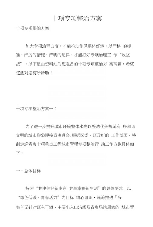 十项专项整治方案.docx