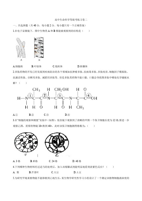 上海市201818-2019年高中生命科学等级考练习卷(二)