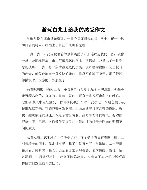 游玩白兆山给我的感受作文