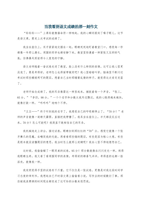 当我看到语文成绩的那一刻作文