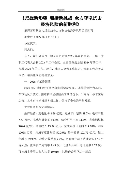 《把握新形势迎接新挑战全力夺取抗击经济风险的新胜利》