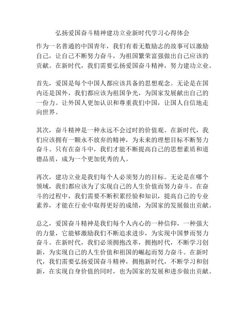 弘扬爱国奋斗精神建功立业新时代学习心得体会