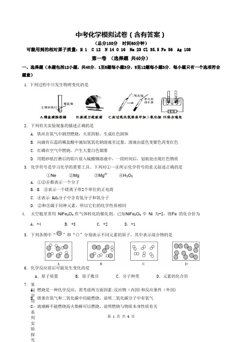 中考化学模拟试卷(含有答案)