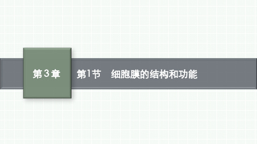 人教版高中生物必修第1册 第3章 细胞的基本结构 第1节 细胞膜的结构和功能 (2)