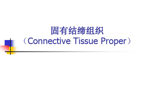 固有结缔组织-精品医学课件