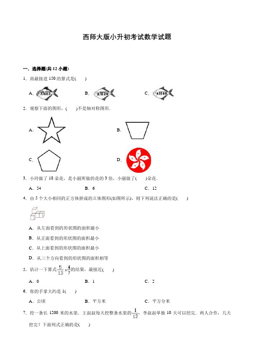 西师大版数学小升初试题含答案