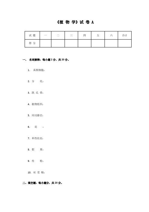 植物学期末备考4