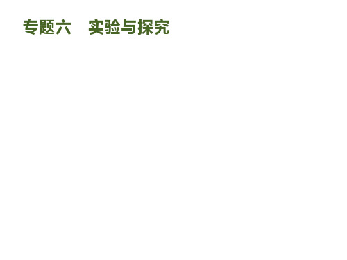 高考生物二轮复习 专题六 实验与探究