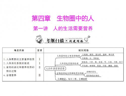 中考生物复习 人的生活需要营养课件 新人教版