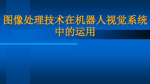 图像处理技术在机器人视觉系统中的运用