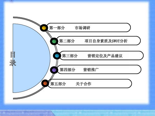 商业营销方案(PPT 88页)