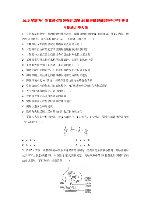 2019年高考生物重难点突破强化练第54练正确理解兴奋的产生传导与传递北师大版