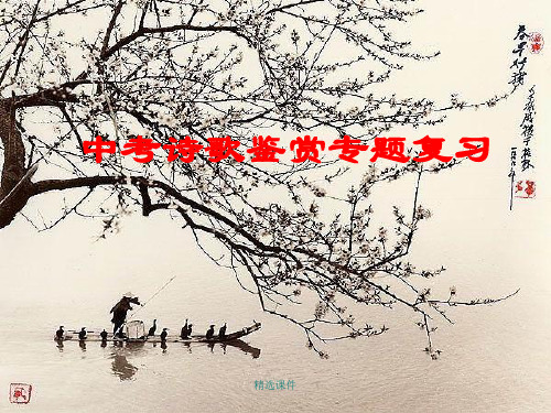 中考诗歌鉴赏专题复习PPT演示课件.ppt