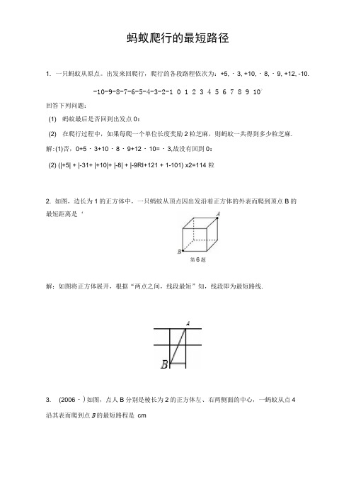 专题训练蚂蚁爬行的最短路径(含答案)