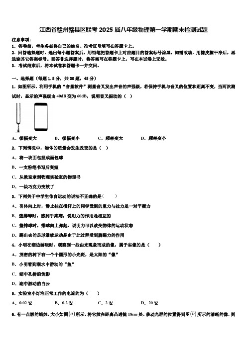 江西省赣州赣县区联考2025届八年级物理第一学期期末检测试题含解析