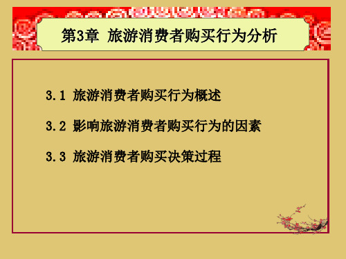 第3章 旅游消费者购买行为分析 《旅游市场营销与策划》