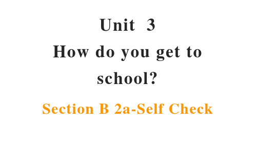 Unit 3 How do you get to school？英语人教版七年级下册精品课件