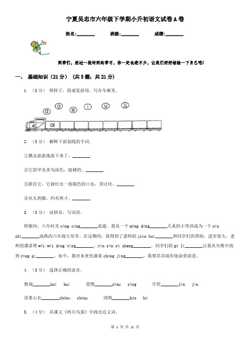 宁夏吴忠市六年级下学期小升初语文试卷A卷