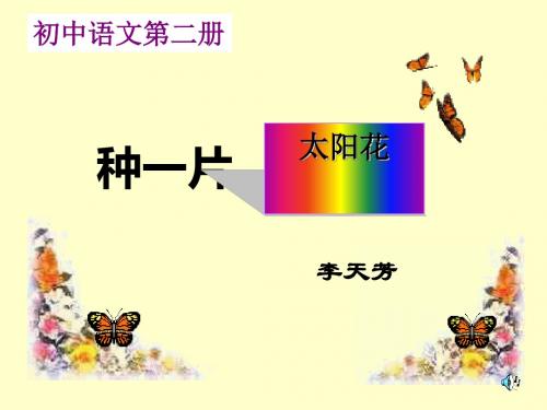 种一片太阳花PPT 人教版 (共11张PPT)