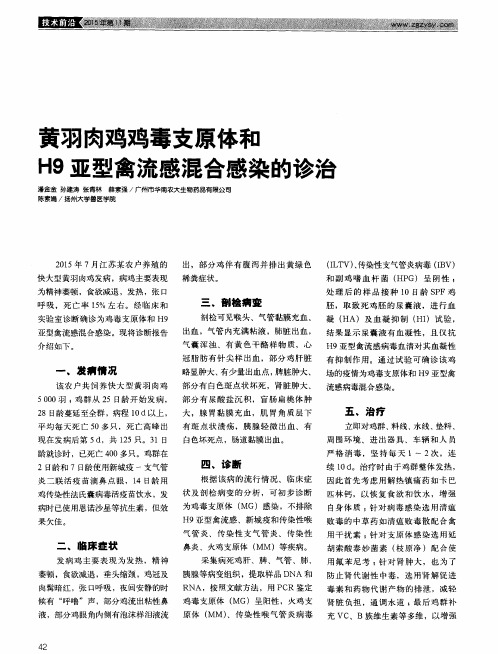 黄羽肉鸡鸡毒支原体和H9亚型禽流感混合感染的诊治