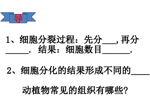 济南版 生物 七年级上册 第一单元 第二章 第三节 多细胞生物体的结构层次