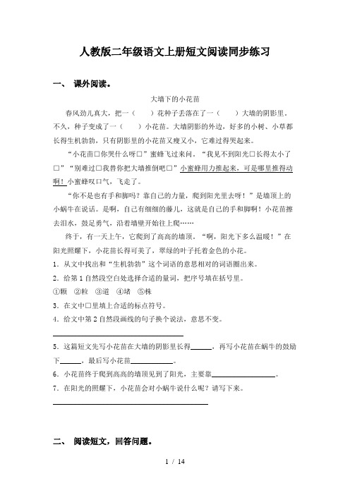 人教版二年级语文上册短文阅读同步练习