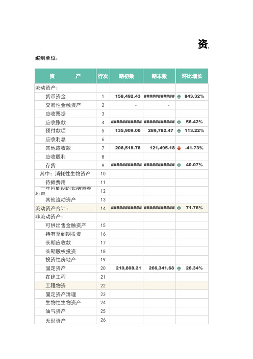 财务报表(资产负债表-利润表)